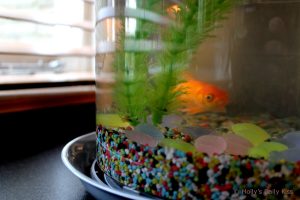 Goldfish in bowl