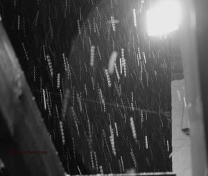 snow falling through the light