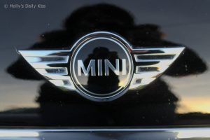 miniwm Mini car badge