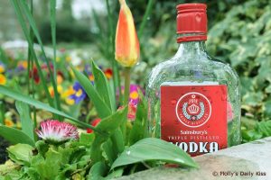 vodka bottle in the flower bed