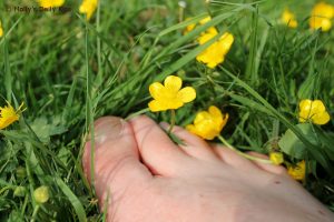 barefeet toes in the grass