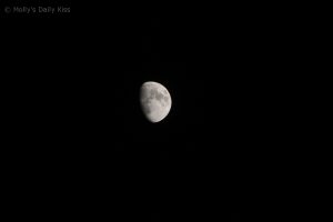 Close up shot of a nearly full moon