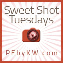 Sweet shot tuesday badge