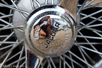 Self portrait in Jaguar hubcap