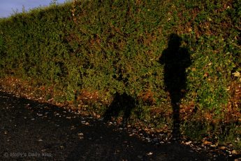 Shadow image of woman walking the dog