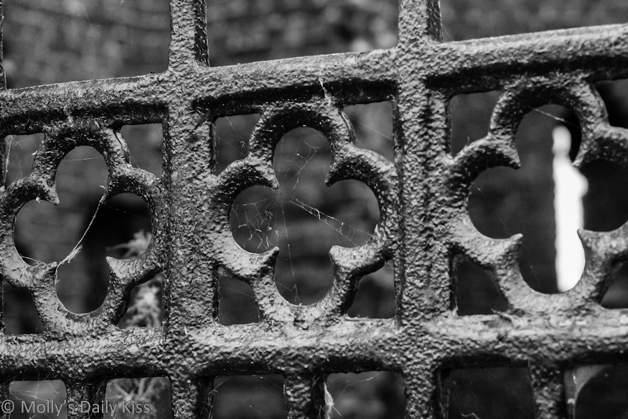 Black and white image of a iron gate