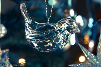 Glass bird Christmas decoration