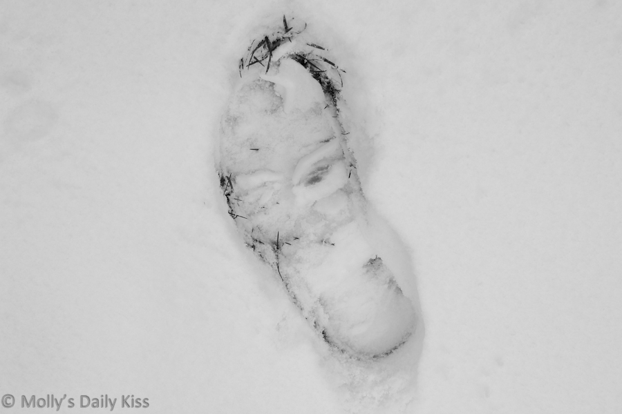 Footprint in the snow