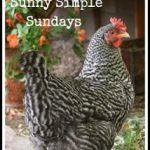 Sunny Simple Sunday's badge