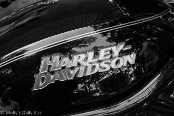 Harley Davidson black and white