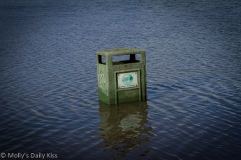 Flooded trash can