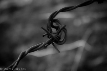 Macro shot of barbed wire