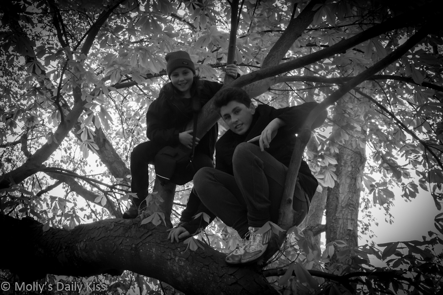 Children climbing a tree in black and white