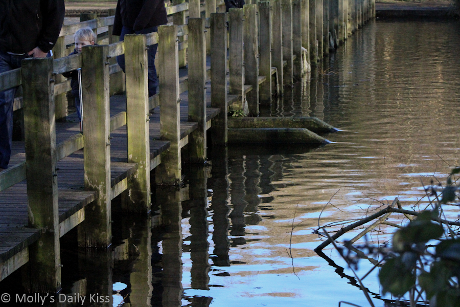 reflection of pier walk in water