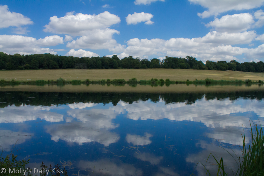 Clouds reflected in pond Panshanger country park