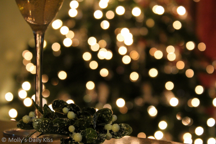 Glas of wine and Christmas tree