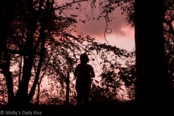 Silhouette of fairy in woodland