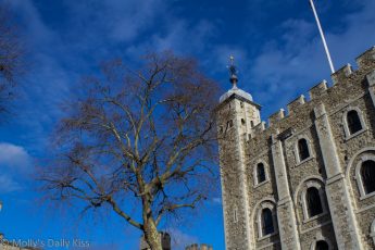 Blue sky and winter tree Tower of London