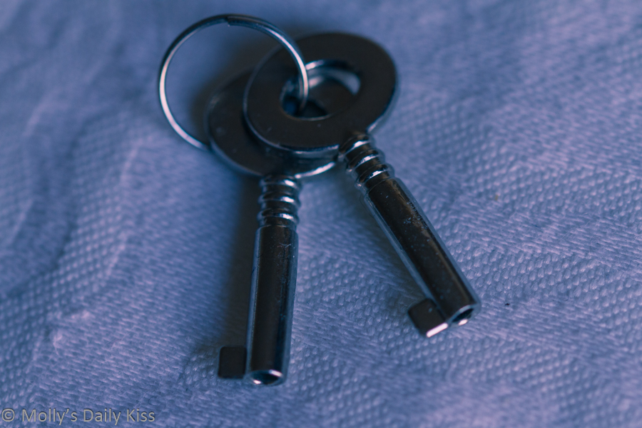 Two small keys