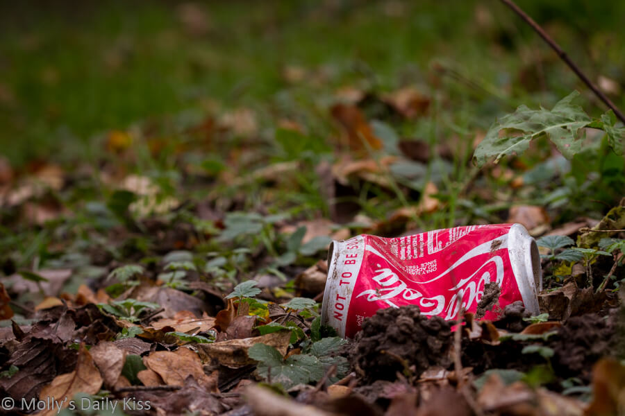 coke can rubbish in the woods