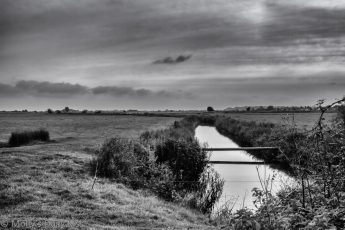 Black and white of Rye Marshes