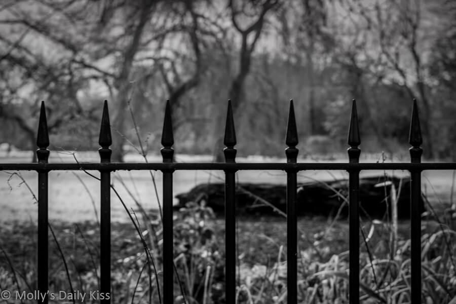 Black metal fence around park