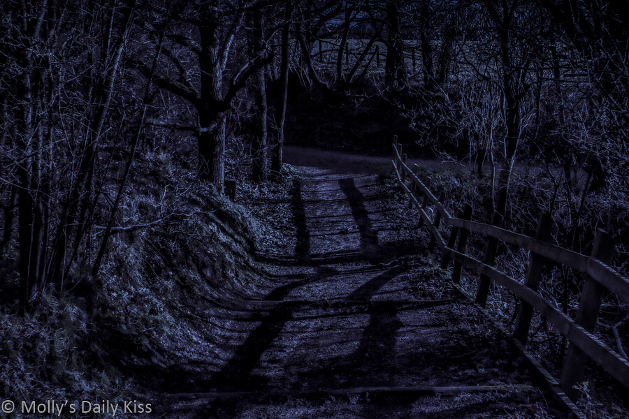 Moonlit steps down into the darkness of night