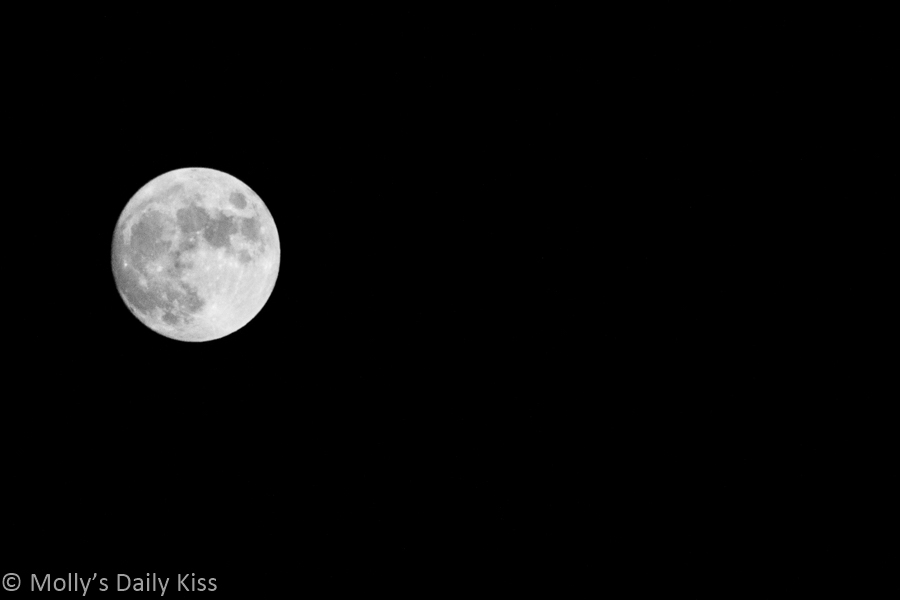 Black and white of full moon is black sky