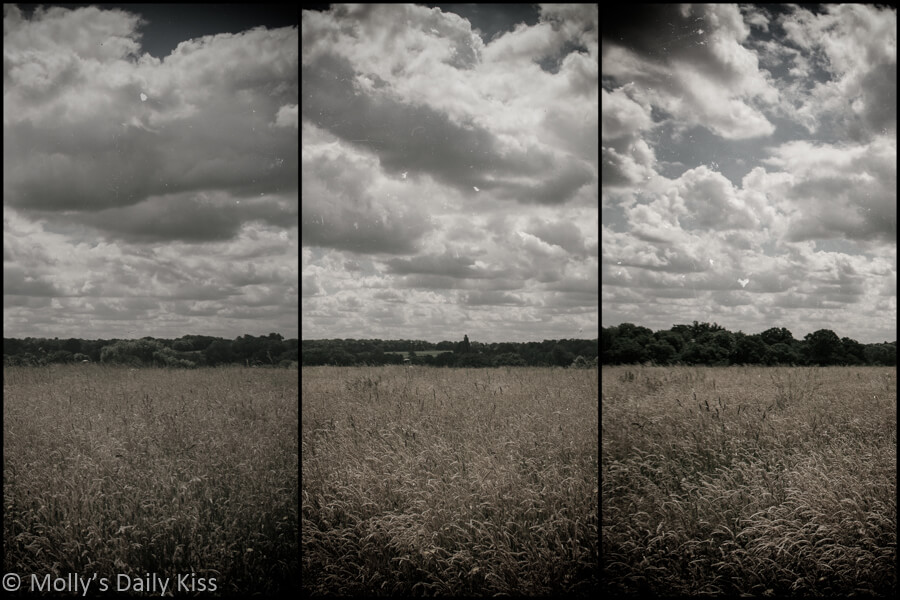 Triptych of summer fields with clouds come and gp
