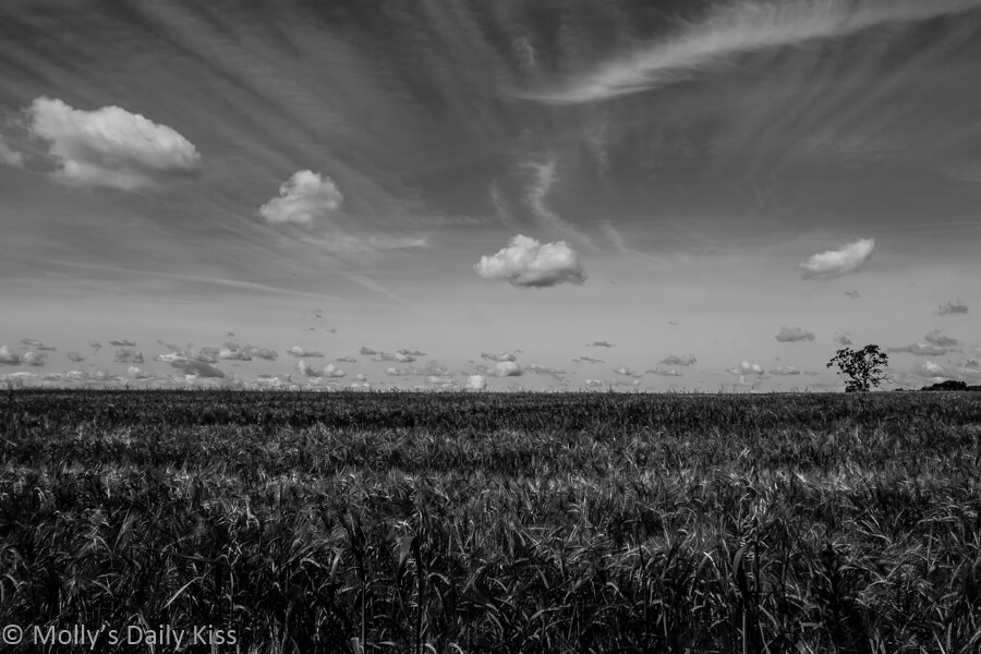 Clouds over fields in black and White contrasts