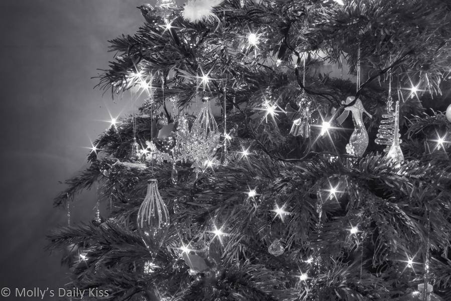 Black and long exposure of Christmas tree