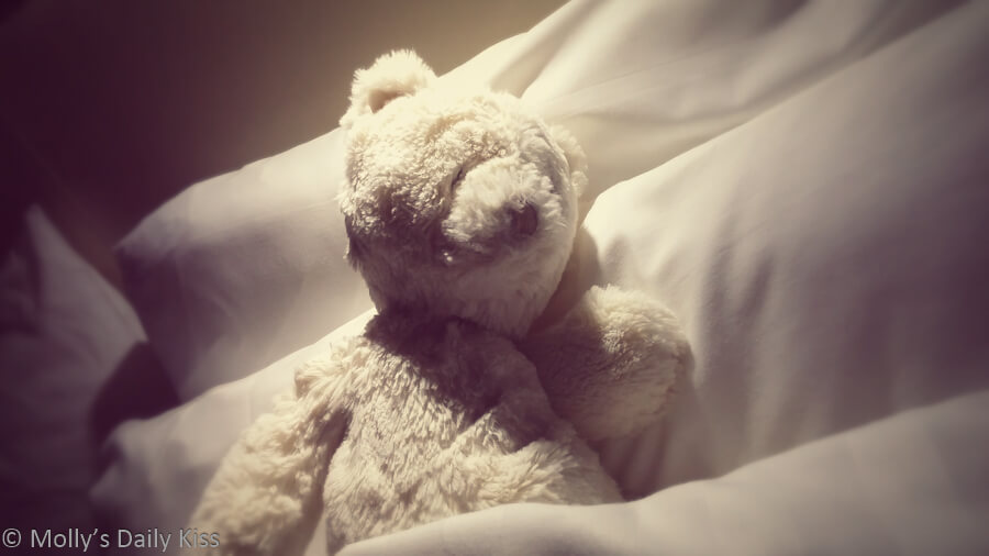 White teddy bear in bed