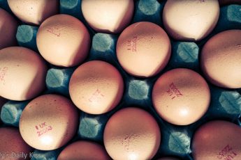 Looking down on the pattern of a tray of eggs