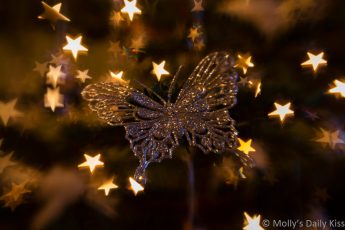 Christmas butterfly decoration with bokeh stars