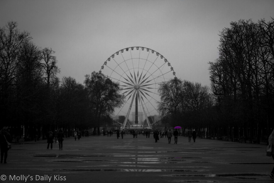 Place du la concord paris man with open purple umbrella reflected in puddles