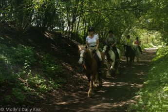 row of woman on horseback out enjoying a ride on the hoof