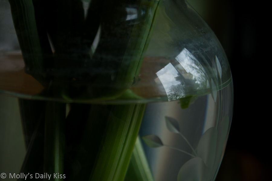 Reflection of window in a glass vase