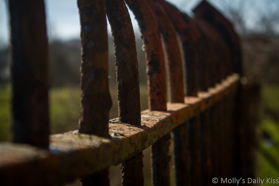 Rusted fence