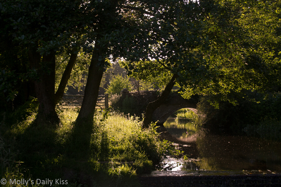 Summer evening by a lazy stream that is no hurry
