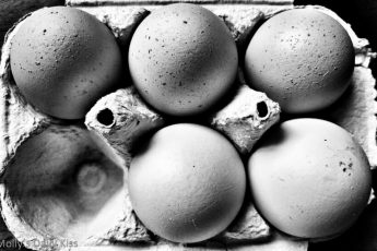 black and white of a box of eggs with one egg missing