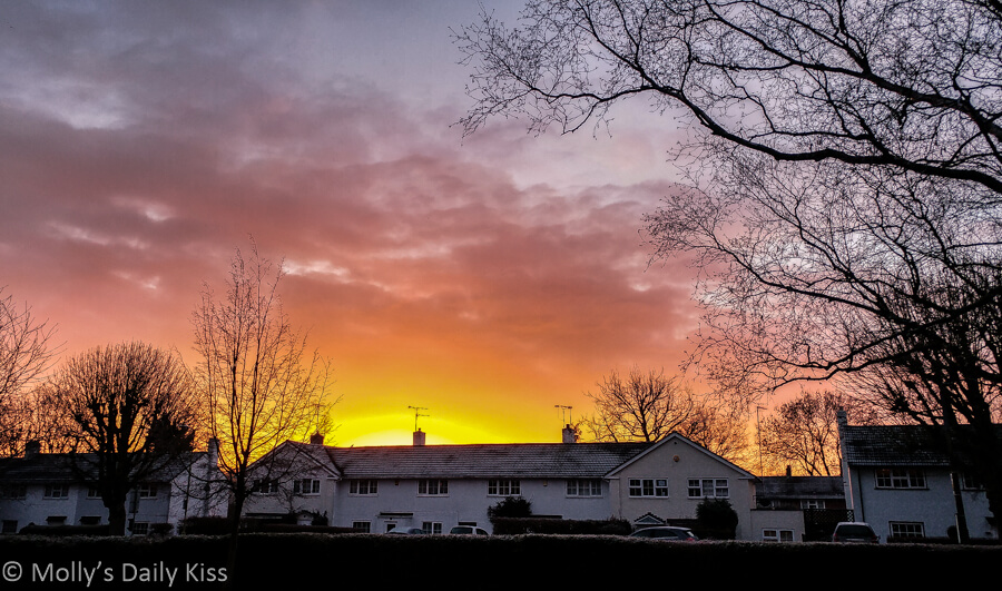 sunrise over houses