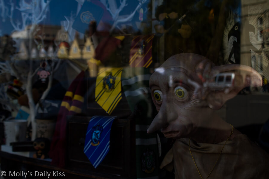 Dobby in shop window in oxford