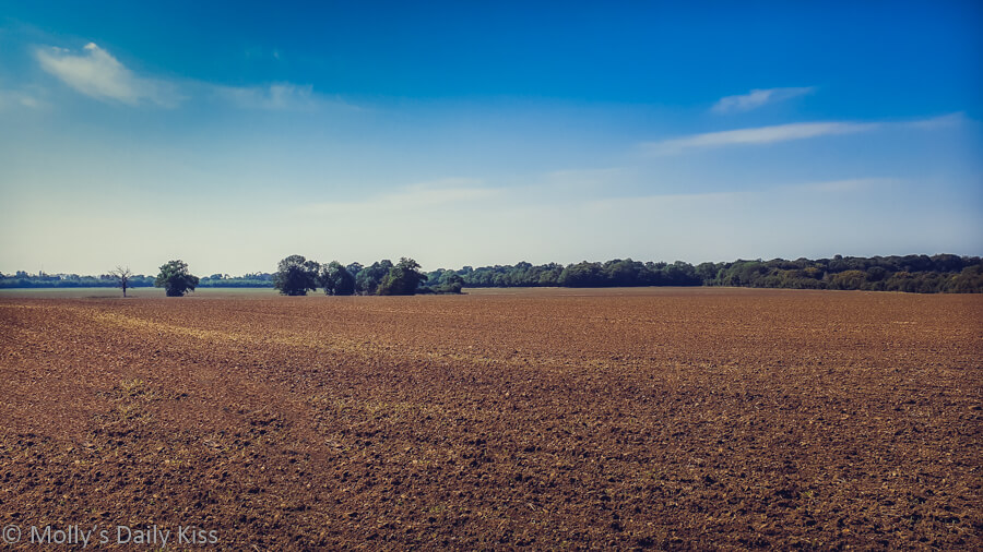 Ploughed field with blue skies
