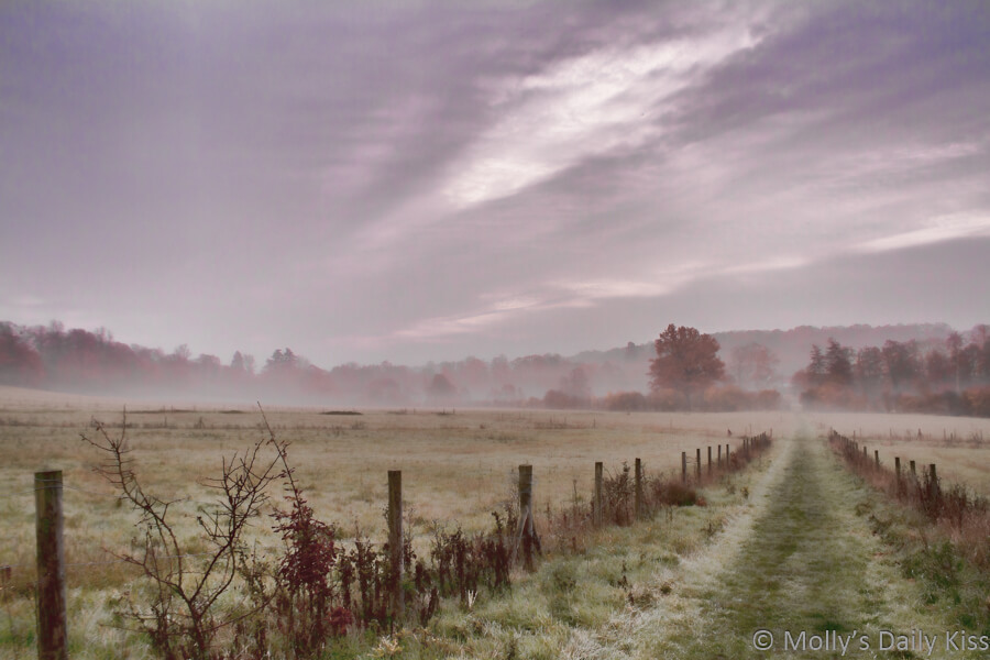Misty mornings over autumn fields and trees