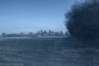 winter view over fields of misty frost