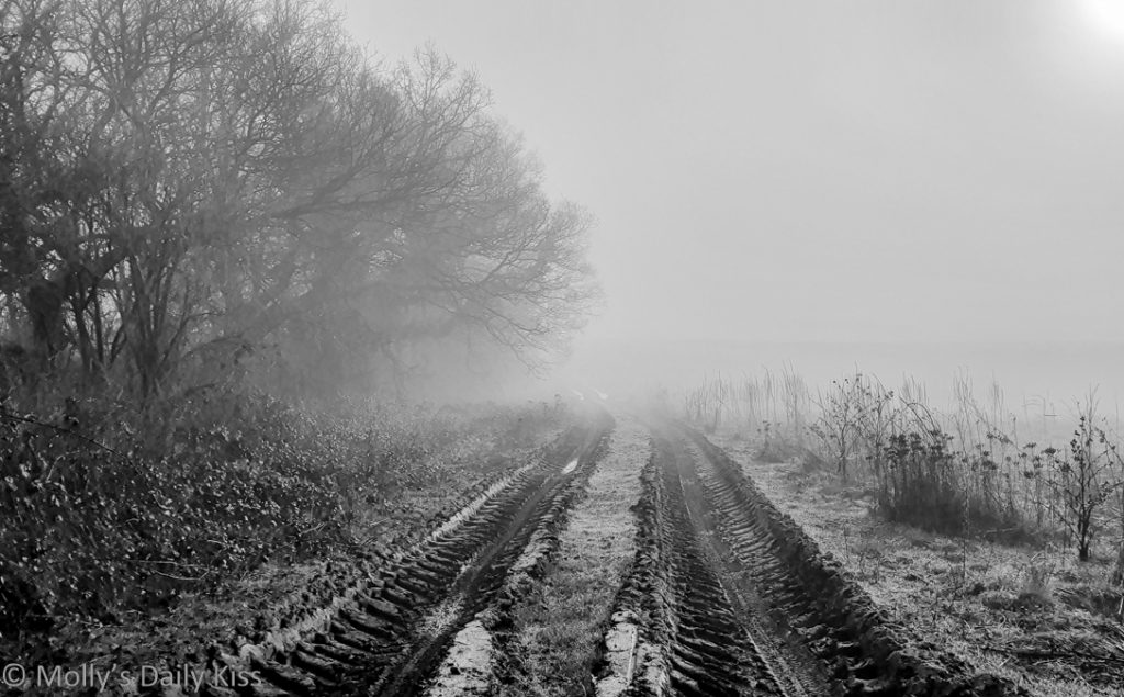 looking dorn tractor ruts through mists over fields