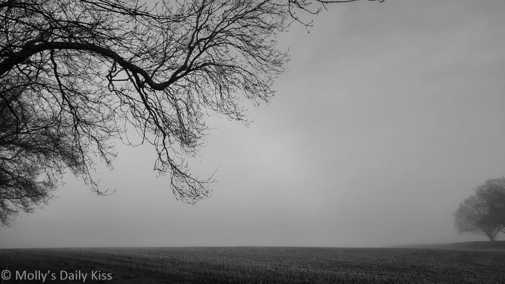 misty morning over fields