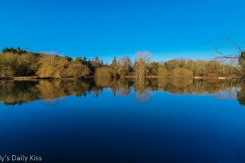 Blue skies reflected in tree lined water