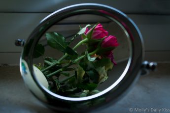Red roses reflected in circular mirror