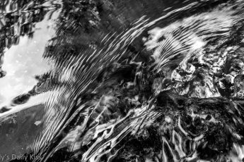 Water ripples in black and white